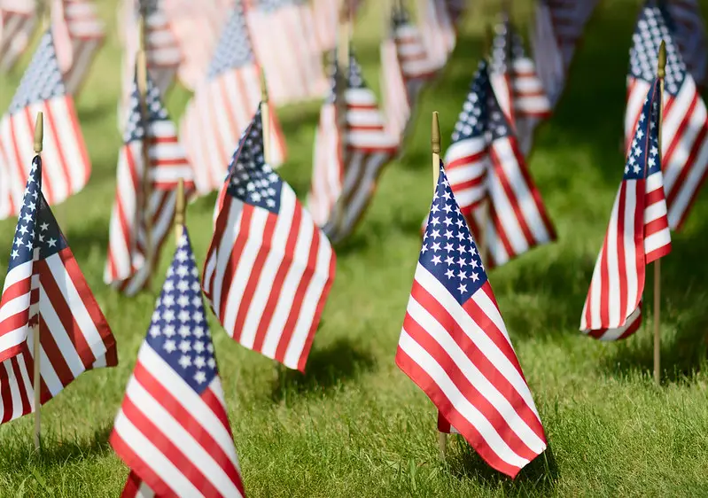 Portland State of Emergency: Too Many American Flags – DogFacePonia