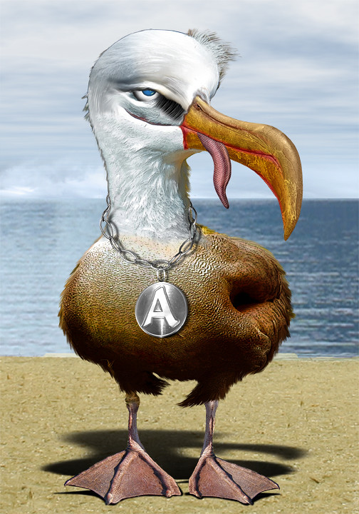 Albatross Bird with a Letter A necklace