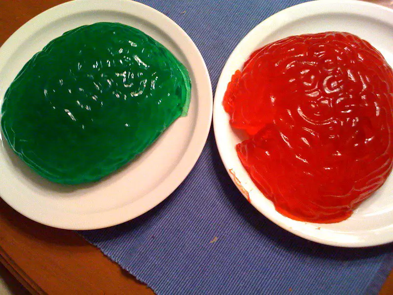 Brains made from Jello