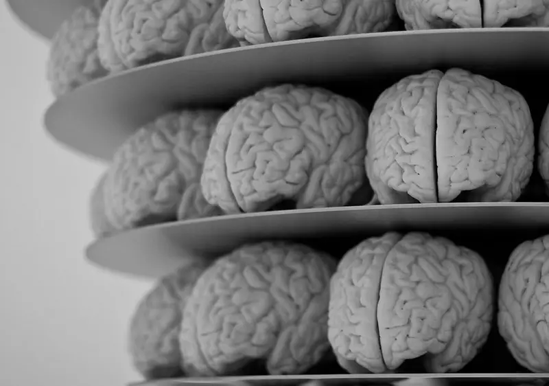 Brains on shelves