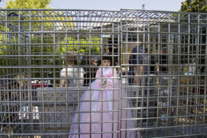Princess Doll in a Cage
