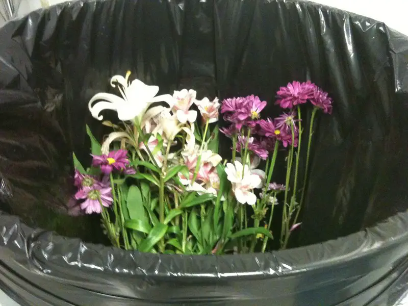 Dying Flowers in a trashcan