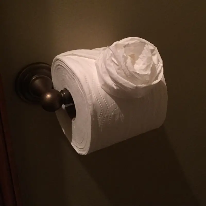 Toilet Paper tied like a Flower.