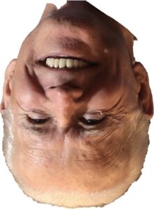 Biden head upside-down white background
