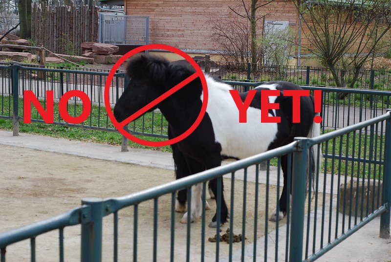 Pony Ban