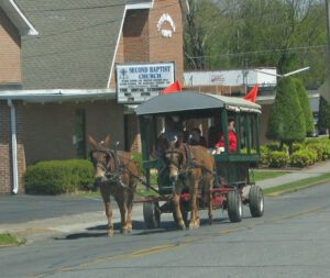 Mule Ride in Georgia